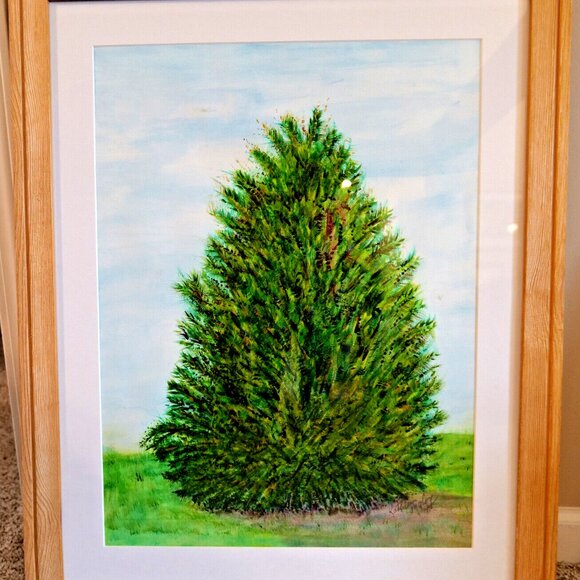 Original Unframed Watercolor Painting of Living Tree Kentucky Eastern Red Cedar - Picture 16 of 16
